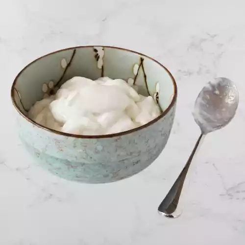 SCD Yogurt Recipe